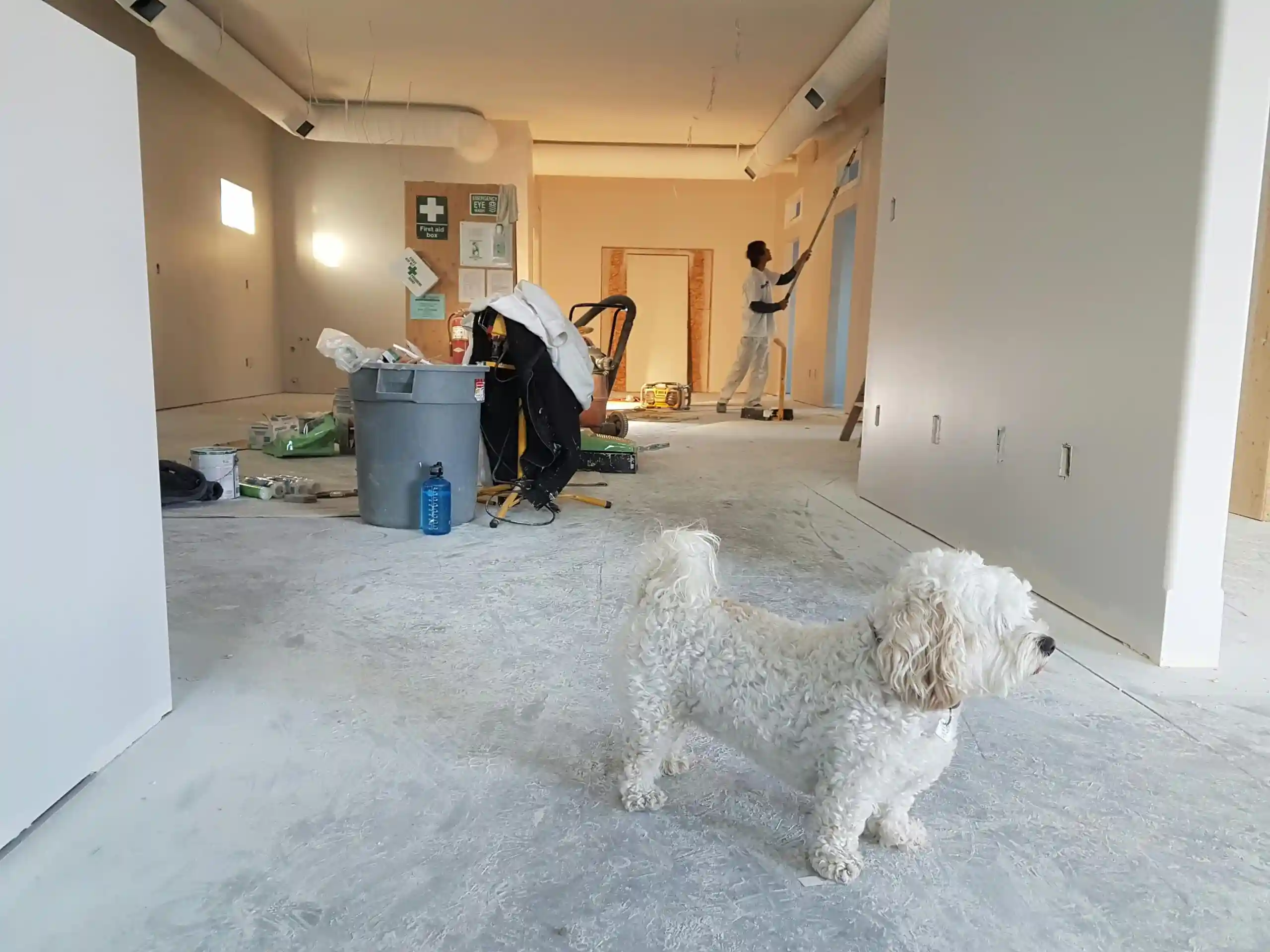 Two men working on the interior renovation of a house, with a dog in the frame, part of a home renovation project by Manhattan Contracting, offering home renovation in NYC.